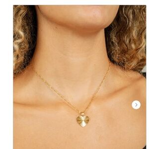 Heart Burst Necklace